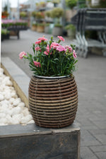 Compact brown wicker-style planter filled with pink flowers, set on a stone-edged raised bed.