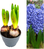 71U31mtZEYL._AC_SL1080_