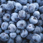 Blueberry Plants - Vaccinium Mix