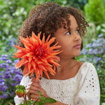 DAHLACATUS - dahlia cactus color spectacle summer flowering tuber - image1