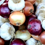 Mixed onions in red, yellow, and white with bulbs of white garlic, stacked together in a fresh produce display.