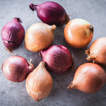 red and yellow onions on grey stone background