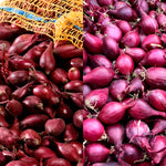 REDONINMIX-red onion mixed sets autumn planting - image1