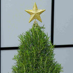 ROSMRYXMSTRE-rosemary shaped christmas tree-image3