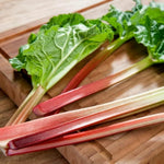 Rhubarb Crown 'Prince Albert' - With FREE Growing Mix