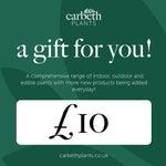 Carbeth Plants Gift Card