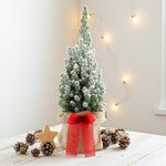 Picea Glauca Perfecta Mini Christmas Tree Gift Wrap
