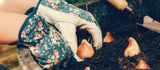 Layering Bulbs in Pots: How to Plant a Bulb Lasagne for Months of Spring Colour