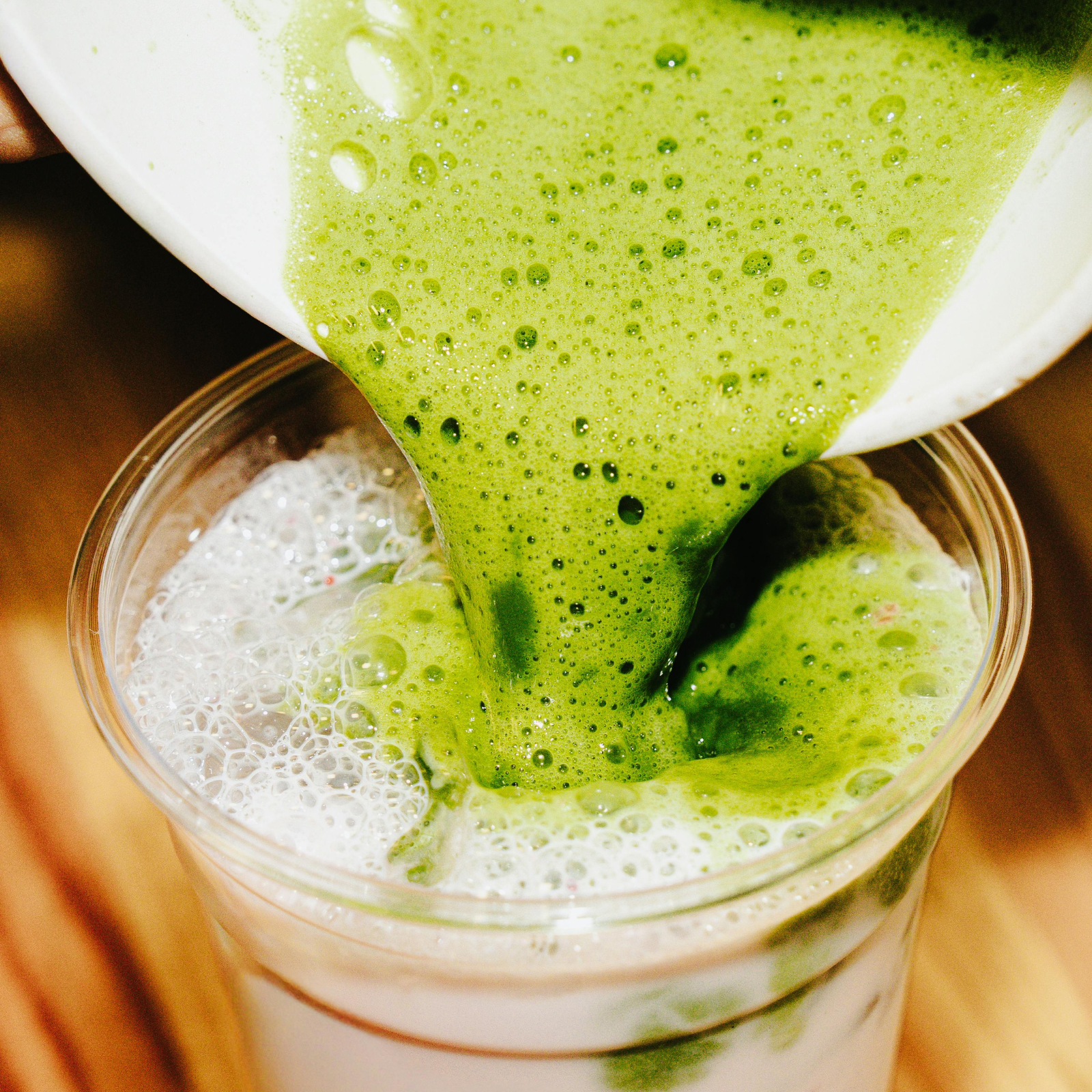 Making Matcha From A Camellia Tea Plant