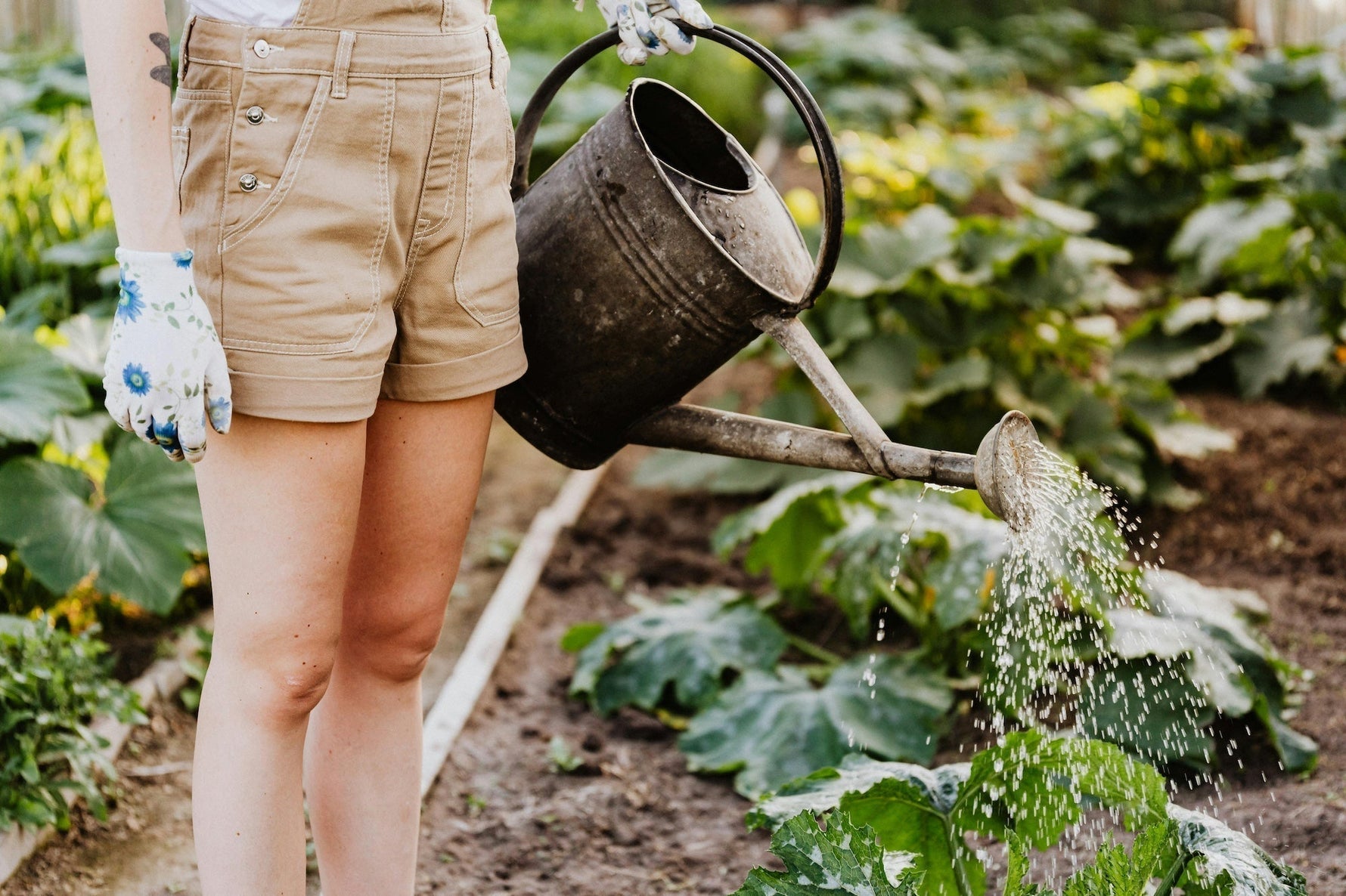 Creating A Water Conscious Garden