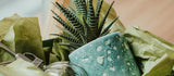 Christmas Gifts for Gardeners: Top Picks Under £100