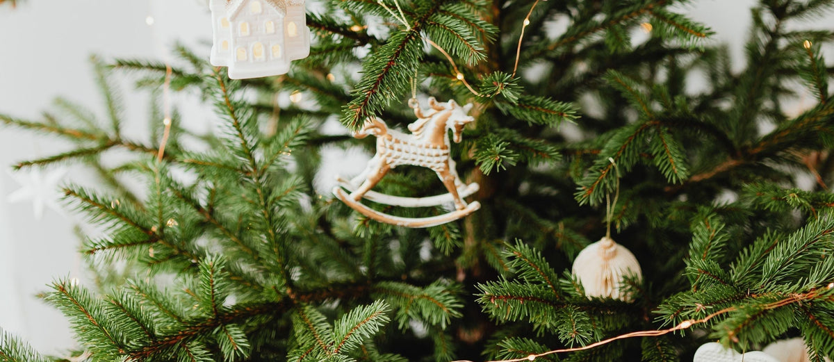 How Long Does a Real Christmas Tree Last? A Guide to Pot-Grown Trees
