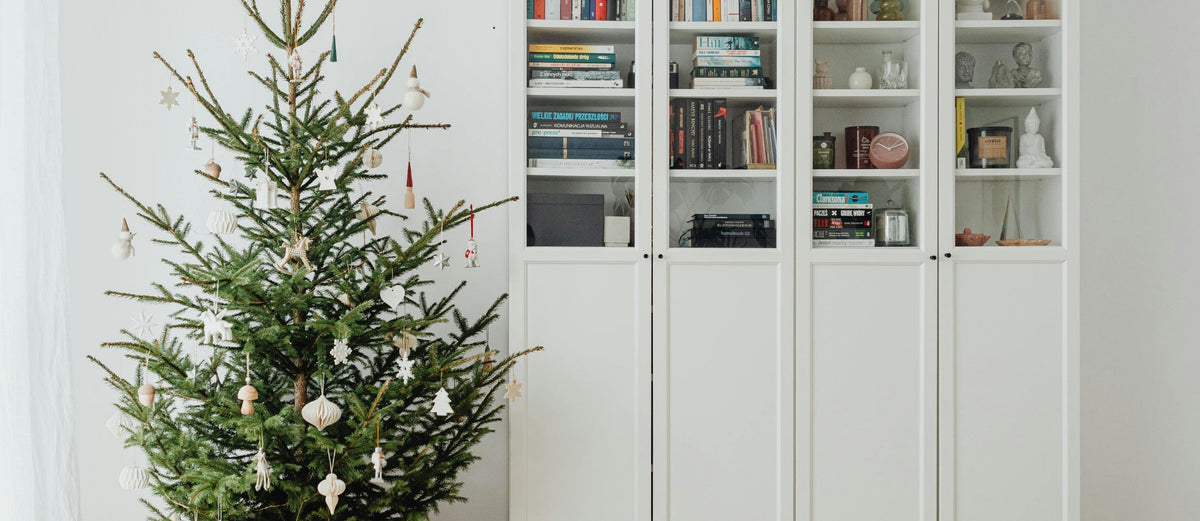 Nordmann Fir vs Norway Spruce: Expert's Guide to Choosing the Right Christmas Tree