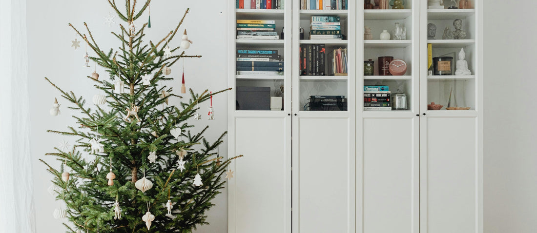 Nordmann Fir vs Norway Spruce: Expert's Guide to Choosing the Right Christmas Tree