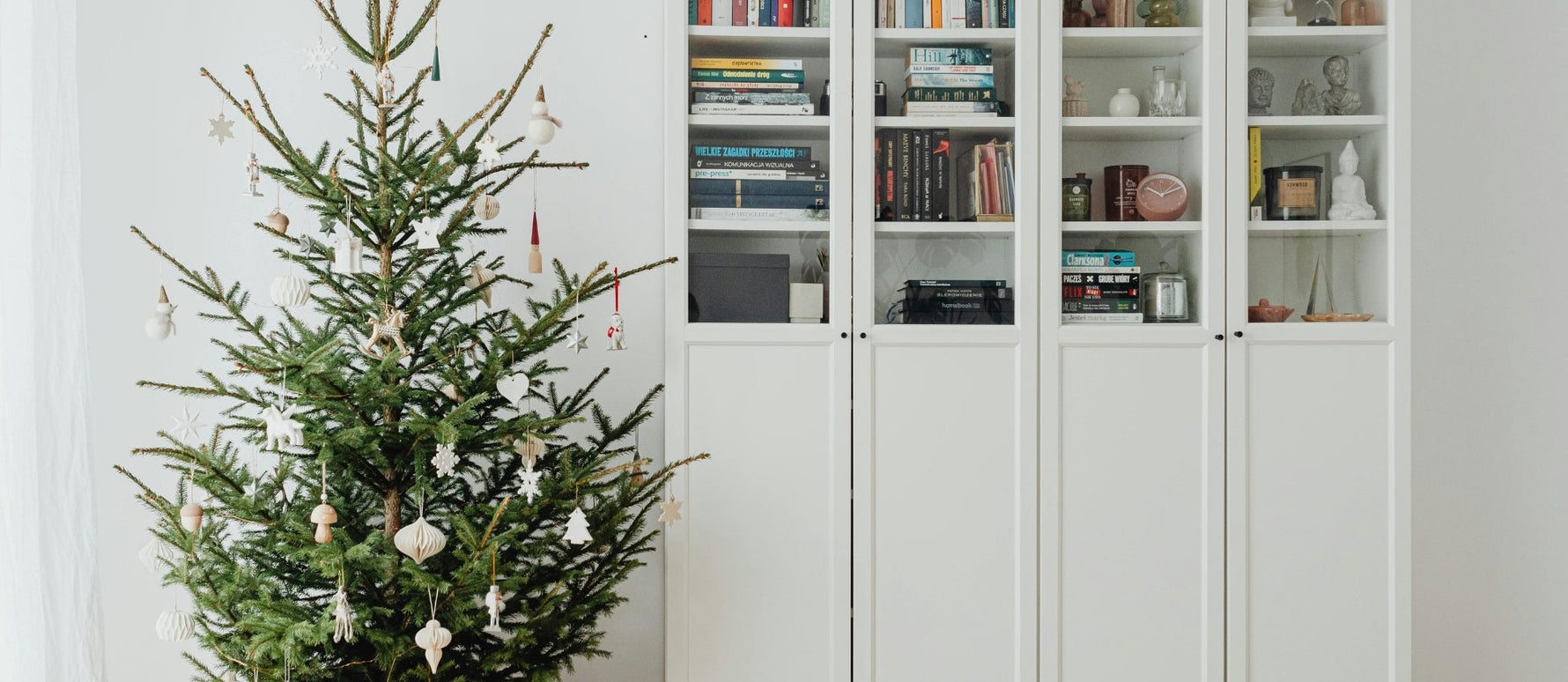 Nordmann Fir vs Norway Spruce: Expert's Guide to Choosing the Right Christmas Tree