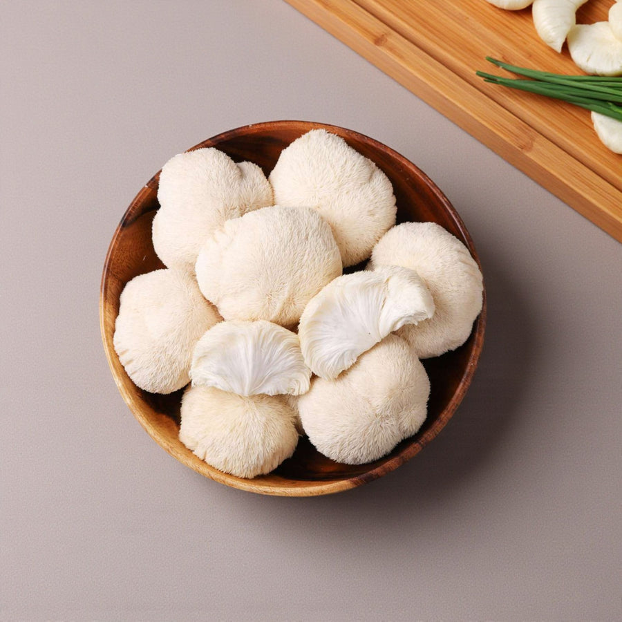 Lion's Mane Mushroom Growing Kit  5