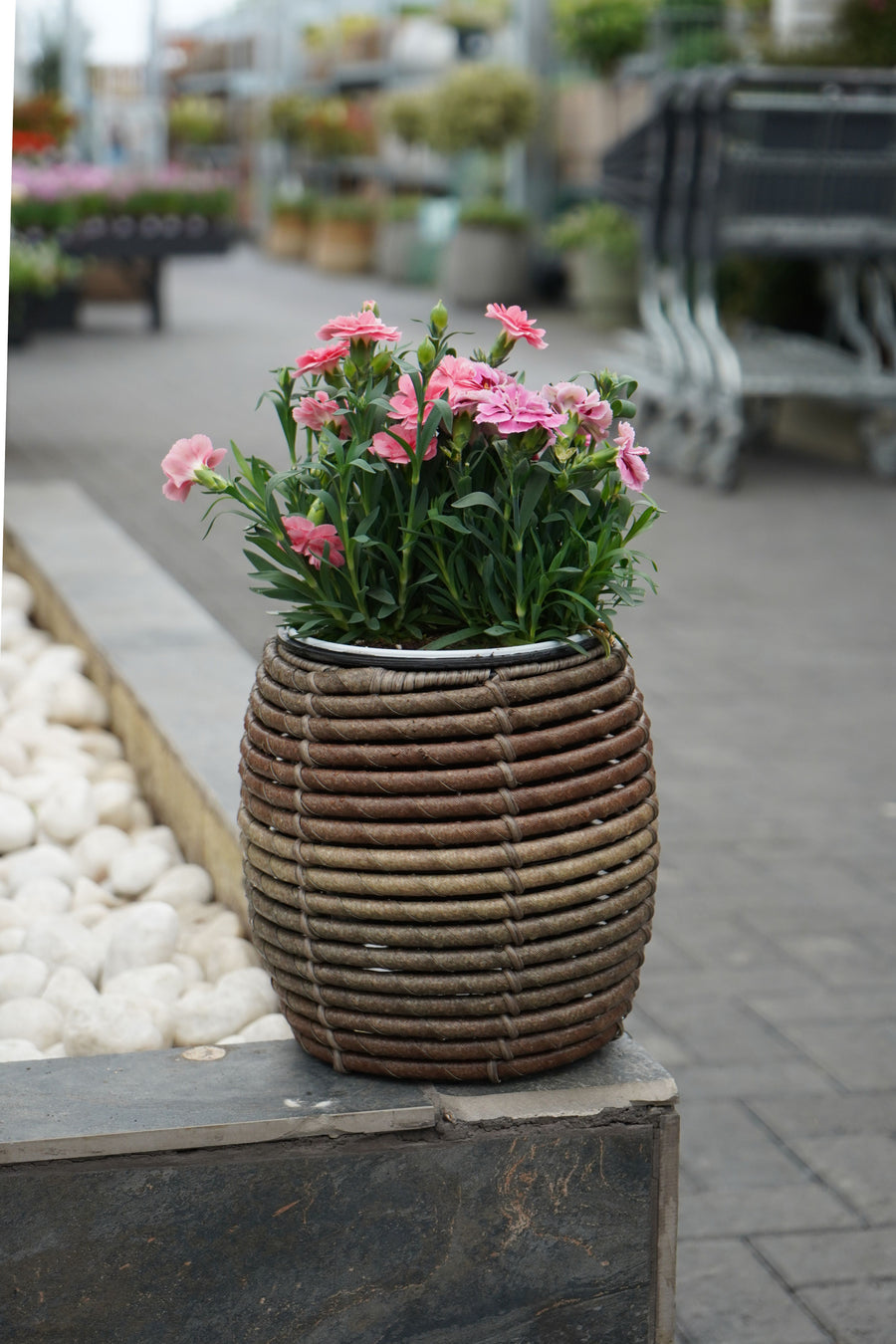 Mica Plant Pots - Dark Brown Cane Compact brown wicker-style planter filled with pink flowers, set on a stone-edged raised bed. 1