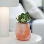 Himalayan Salt Crystal Succulent  3