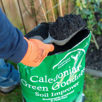 'Green Goodness' Peat Free Compost