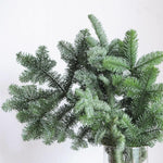 Real Noble Fir Fresh Foliage  1