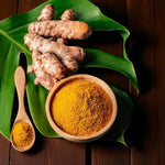 Curcuma Longa Tumeric Bare Roots  2