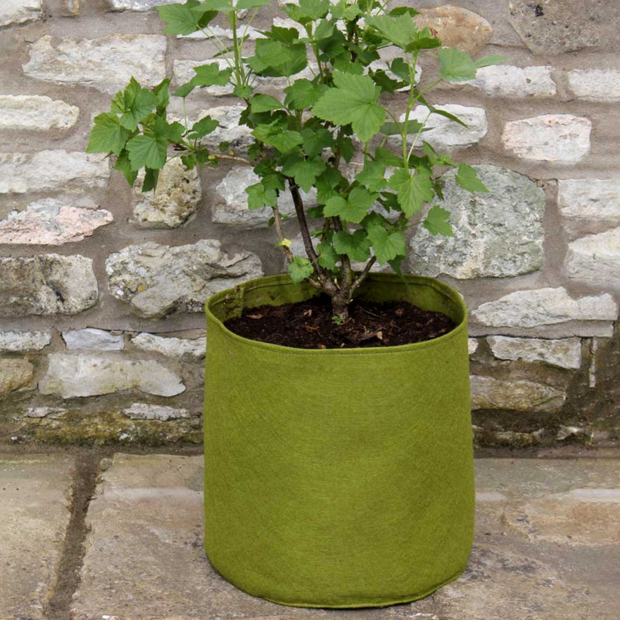 Foldable Pots  3