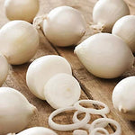 White Onion Sets & White Garlic Bulb Collection  2