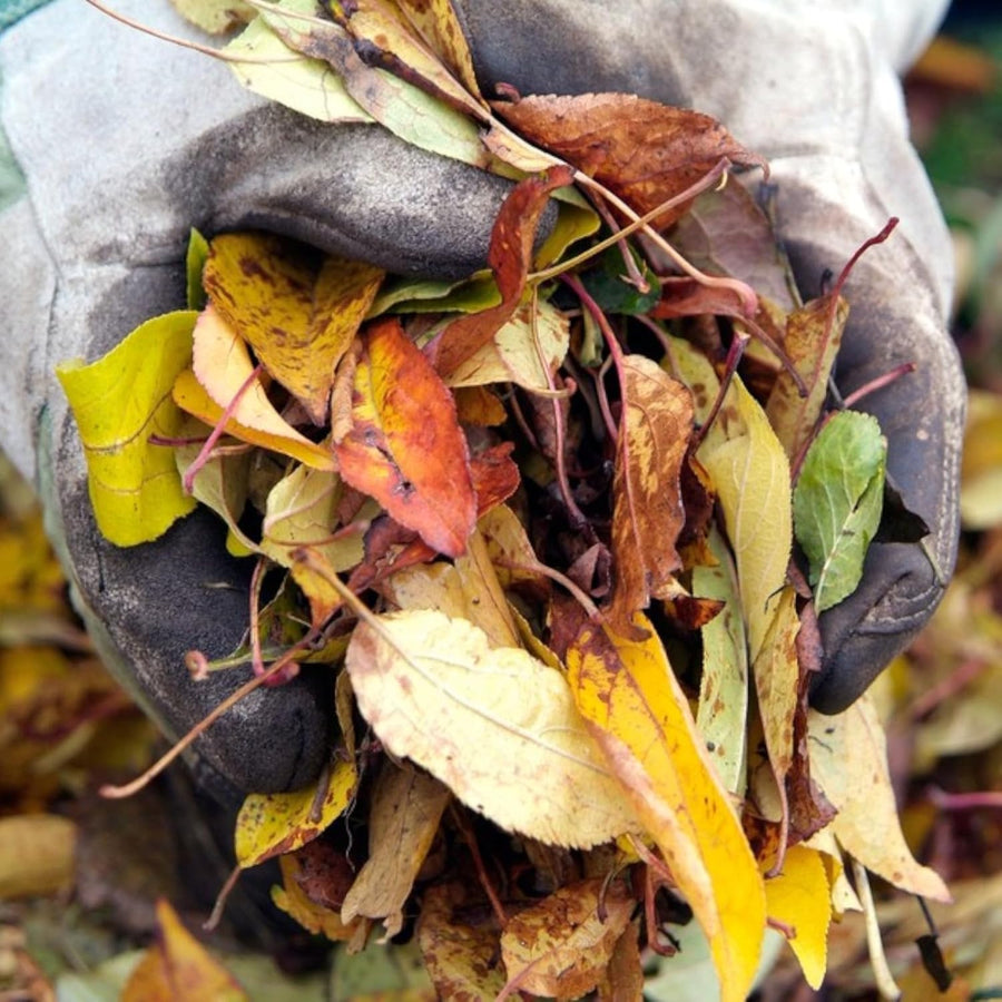 2 Heavy Duty Garden Waste Bags 74L  2