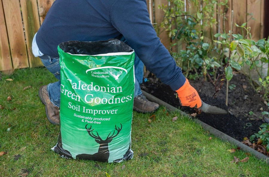 'Green Goodness' Peat Free Compost 2 4