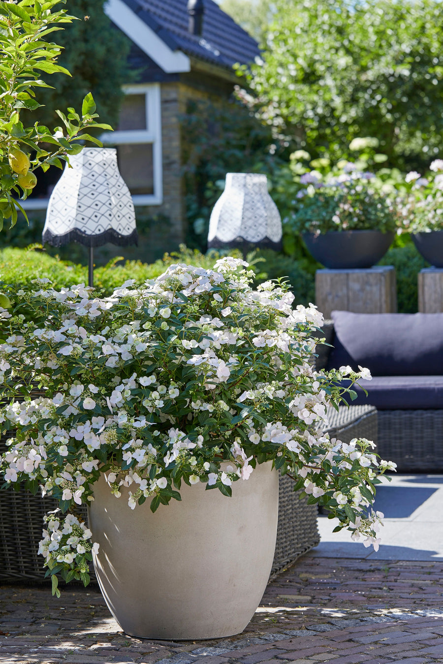 White Hydrangea Runaway Bride - Vertical Garland Hydrangea 2a3458ea5064cbeg0c674a26ce574c40 6