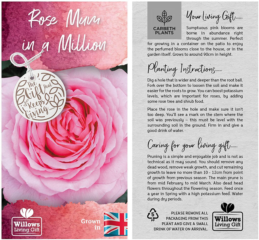Mum in a Million Rose Bush Gift Wrapped Mum in a Million Rose Bush Gift Wrapped image2 2