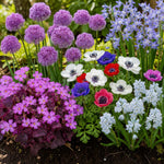 Spring Flowering 350 Bulb Mix  1