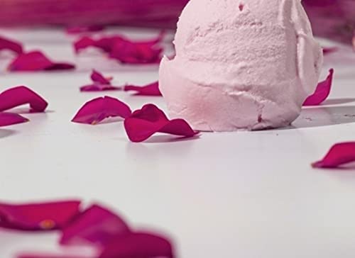 Edible Rose Bush - Theo Clevers 4 4