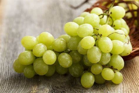 Grape Vine Plant -  Theresa 4 1