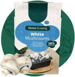 Mushroom Growing Kit  3