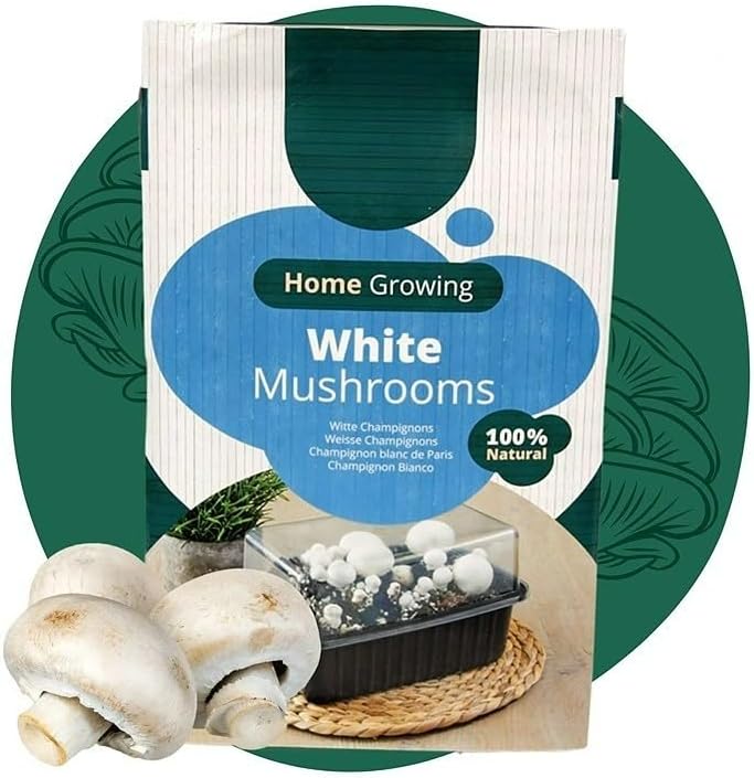 Mushroom Growing Kit  3