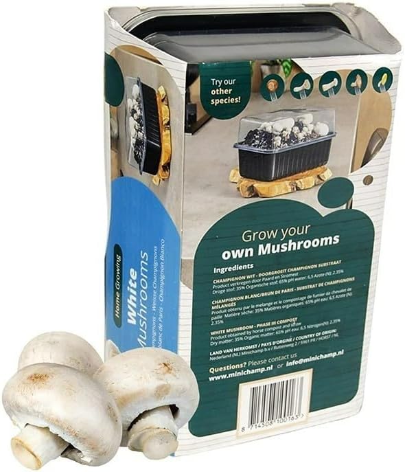 Mushroom Growing Kit White Button  2