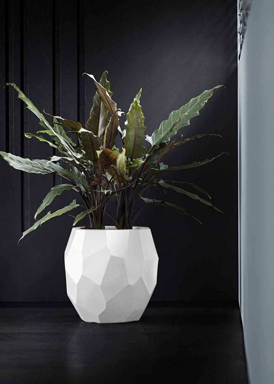 Elho Pure Edge 40cm White Plant Pot Elho Pure Edge 40cm White Plant Pot image3 1