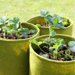 Foldable Pots  5