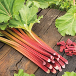 Rhubarb Bare Root Crowns  5