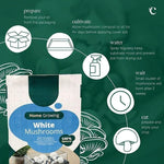Mushroom Growing Kit  8