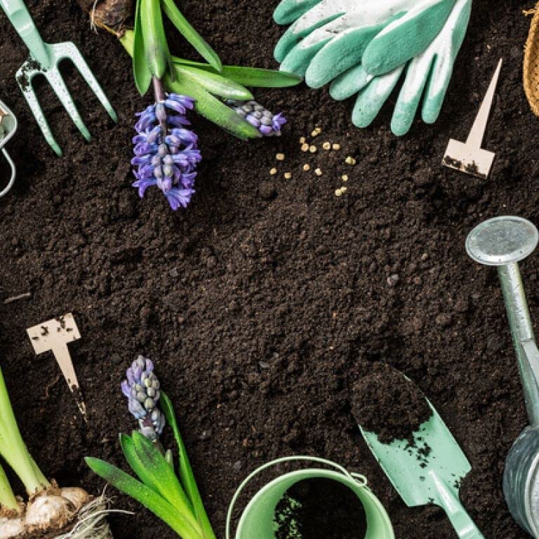 Westland Bio3 New Horizon All Plant Compost Westland Bio3 New Horizon All Plant Compost image4 4