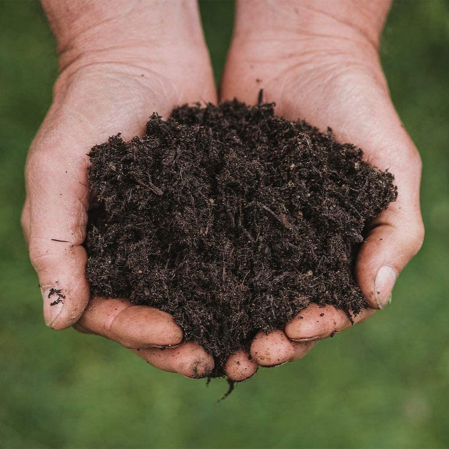 Westland Bio3 New Horizon All Plant Compost Westland Bio3 New Horizon All Plant Compost image2 2