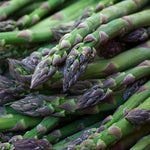 Asparagus Crowns  5
