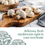 Mushroom Growing Kit White Button  5