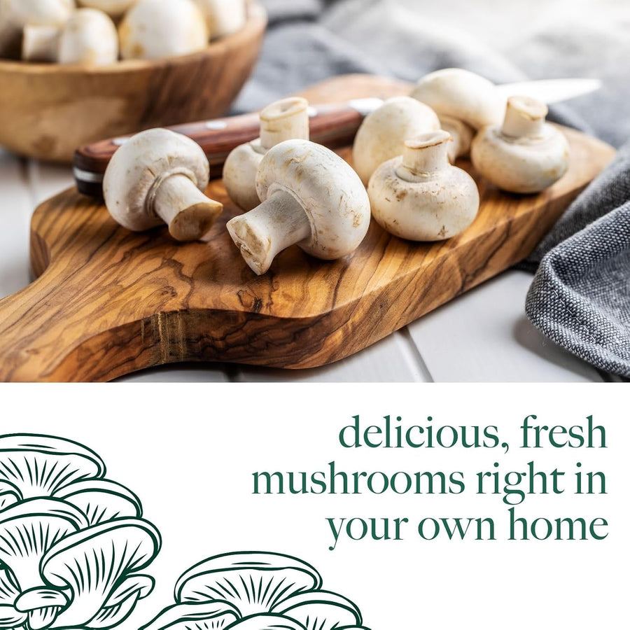 Mushroom Growing Kit White Button  5