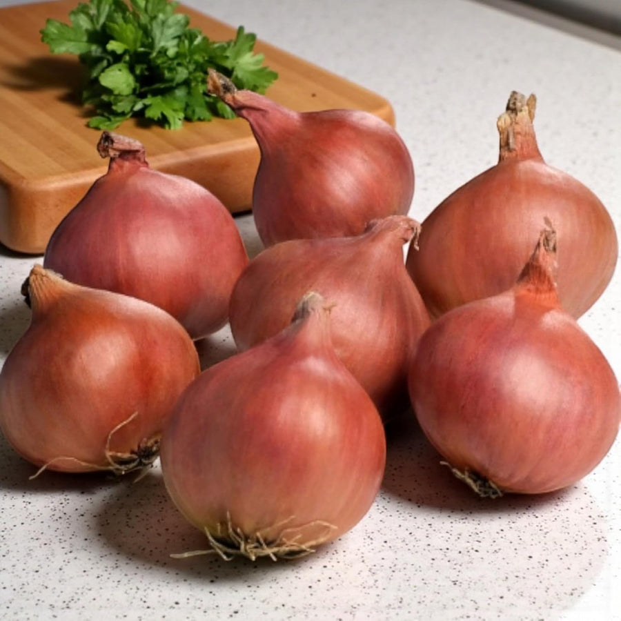 Shallot Sets  8