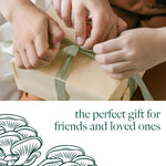 Mushroom Growing Kit Yellow Oyster  5