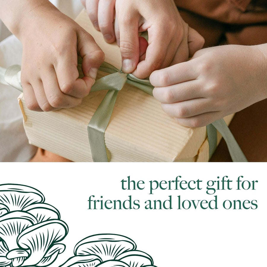 Mushroom Growing Kit King Oyster  4