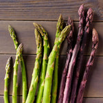 Asparagus Erasmus Crowns  2